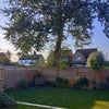 Photo 1: Garden