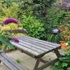 Photo 7: Rear Garden