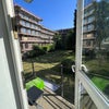 Photo 5: Garden or Patio