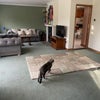 Photo 3: Living Room
