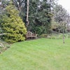Photo 9: Large garden