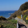 Photo 5: Southbourne Cliffs
