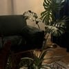 Photo 5: The living room + balcony angle 2