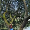 Durjoy\'s picture