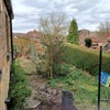 Photo 5: rear garden and patio