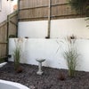 Photo 6: small garden with potential to turn it into a sanctuary