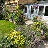 Photo 7: Garden and cabin 