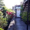 Photo 3: The Front Door