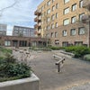 Photo 8: Enclosed courtyard 