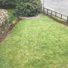 Photo 9: Outside Lawn