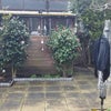 Photo 5: Patio