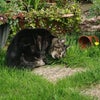 Photo 8: Tinha, she is the boss!