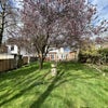 Photo 2: Communal large garden