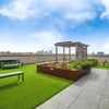 Photo 8: Outdoor Terrace