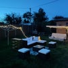 Photo 6: Back garden