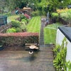 Photo 5: Garden