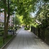 Photo 6: View Down Pedestrianised Street From Which the House is Accessed