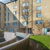 Photo 4: Garden area