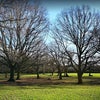 Photo 4: by bromley's highest park