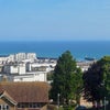 Photo 3: View from the room