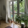 Photo 2: Living room