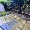 Photo 3: Patio