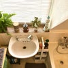 Photo 8: Bathroom