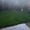 Photo 9: Garden or Patio