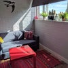 Photo 5: Snug