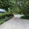 Photo 7: driveway