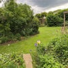 Photo 8: garden 1