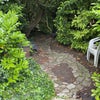 Photo 9: garden 2