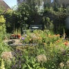 Photo 3: Garden