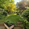 Photo 6: Huge garden! 