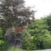 Photo 6: view from the window