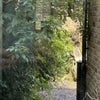Photo 3: Back garden