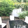 Photo 6: Amazing suntrap garden, shed for bikes