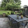 Photo 7: Garden