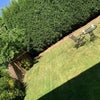 Photo 10: Quiet, secluded garden, great for relaxing 