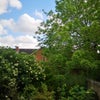 Photo 2: view from rear of property