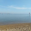 Photo 9: The River Medway