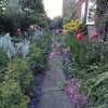Photo 4: Part of the garden