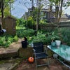 Photo 3: Garden
