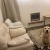 Photo 3: Lounge