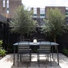 Photo 9: GARDEN