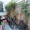 Photo 6: Garden
