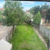 Photo 9: Garden 