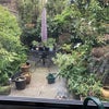 Photo 6: Garden