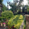 Photo 3: Garden