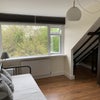 Photo 5: Great views of garden and natural light in room